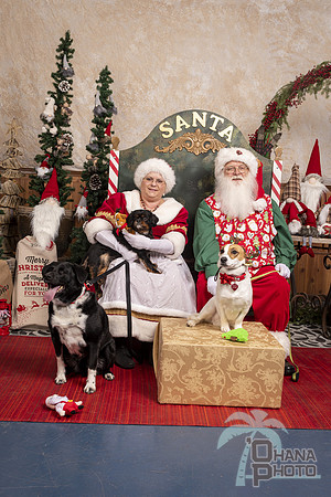 SantaPaws2019-0608