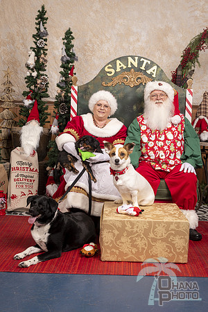 SantaPaws2019-0609