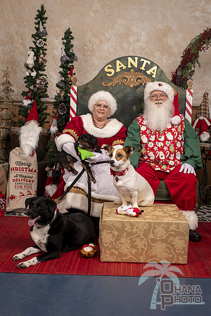 SantaPaws2019-0610