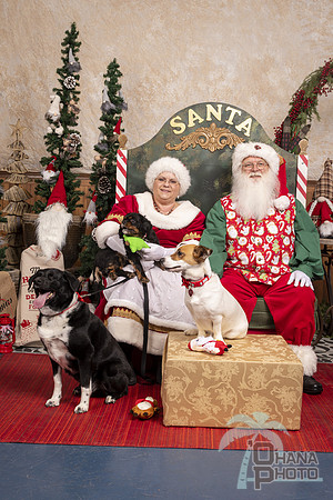 SantaPaws2019-0611