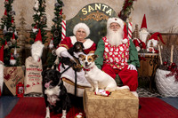 SantaPaws2019-0612