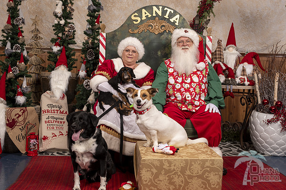 SantaPaws2019-0612