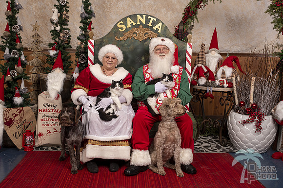SantaPaws2019-0651
