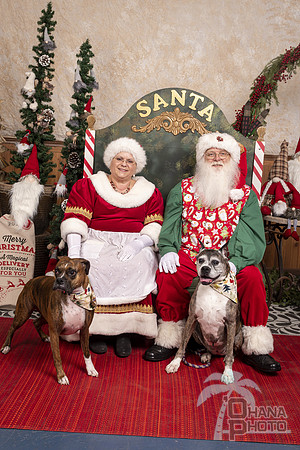 SantaPaws2019-0676