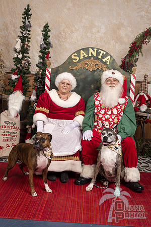 SantaPaws2019-0677