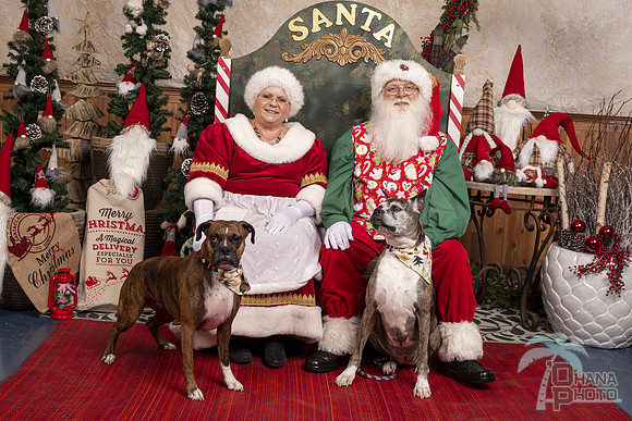 SantaPaws2019-0678