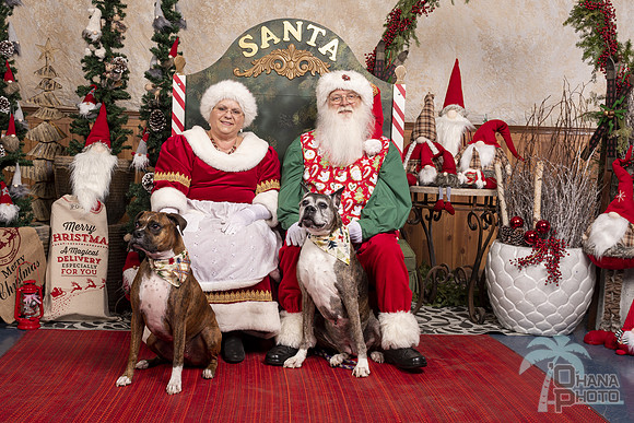 SantaPaws2019-0679