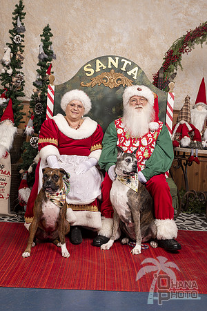 SantaPaws2019-0682