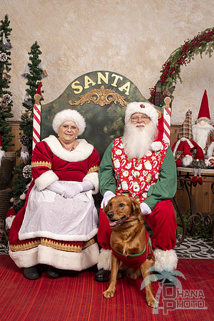 SantaPaws2019-0743