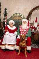 SantaPaws2019-0744
