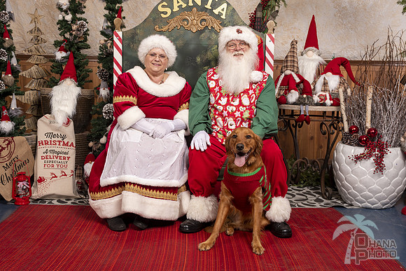 SantaPaws2019-0746