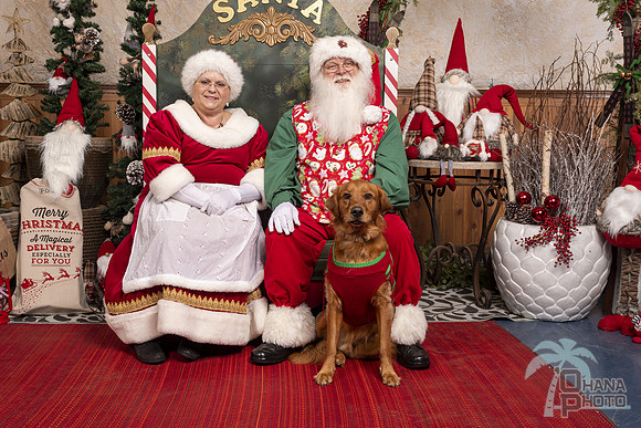 SantaPaws2019-0748