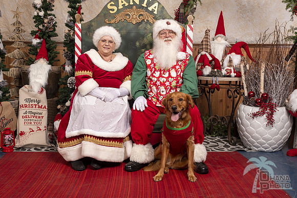 SantaPaws2019-0749