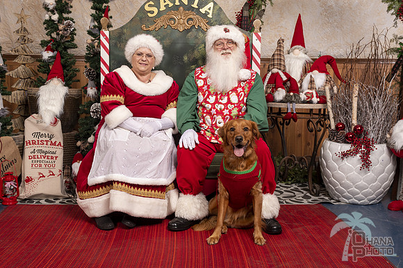 SantaPaws2019-0750