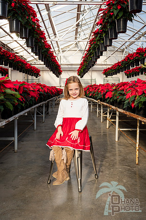 CDHS Santa Paws 2021-053