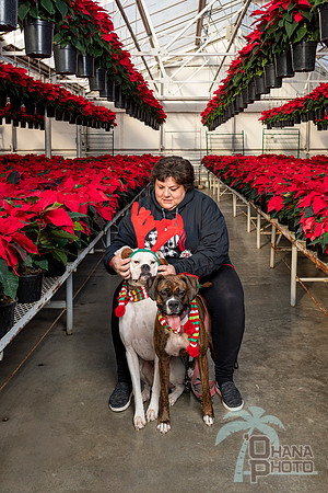 CDHS Santa Paws 2021-091