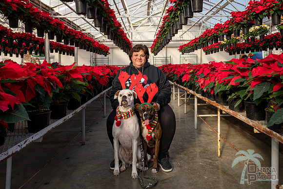 CDHS Santa Paws 2021-097