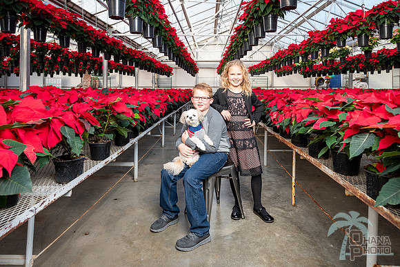 CDHS Santa Paws 2021-131