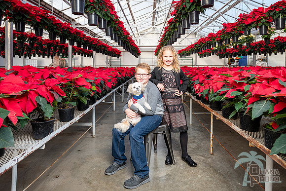 CDHS Santa Paws 2021-133