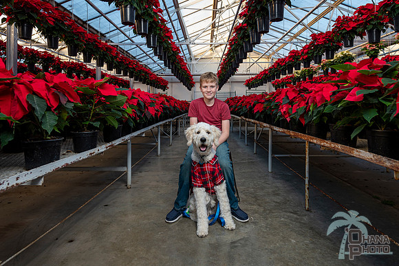 CDHS Santa Paws 2021-217