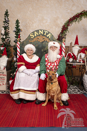 SantaPaws2019-0751