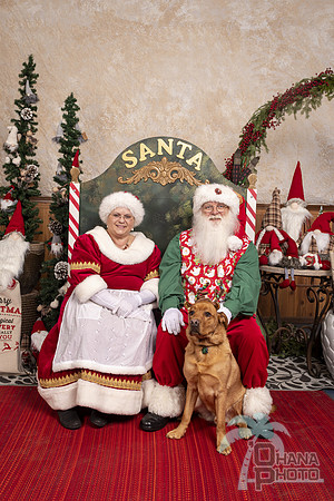 SantaPaws2019-0754