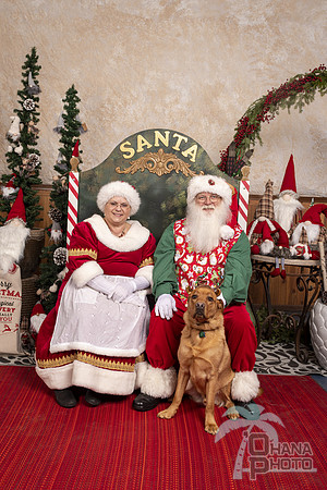 SantaPaws2019-0752