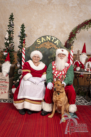 SantaPaws2019-0753