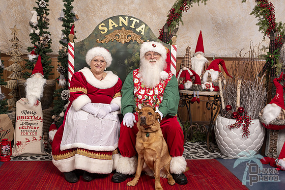 SantaPaws2019-0755