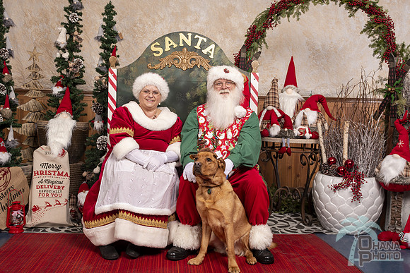 SantaPaws2019-0756