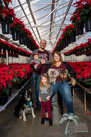 CDHS Santa Paws 2021-300