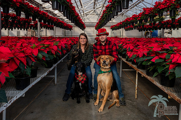 CDHS Santa Paws 2021-316