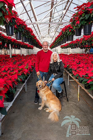 CDHS Santa Paws 2021-328