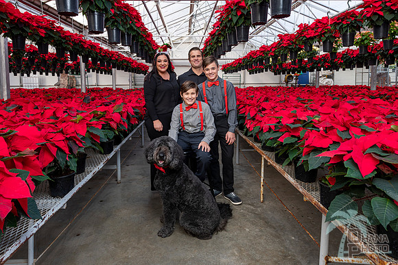 CDHS Santa Paws 2021-360