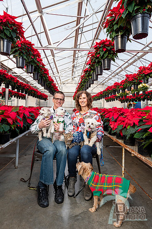 CDHS Santa Paws 2021-374