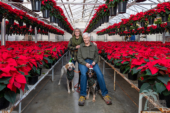 CDHS Santa Paws 2021-402