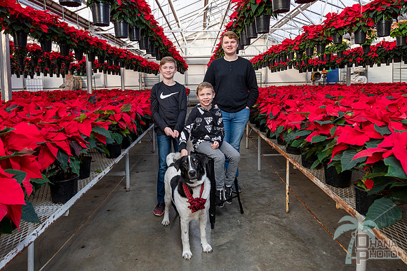CDHS Santa Paws 2021-414