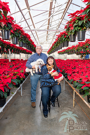 CDHS Santa Paws 2021-428