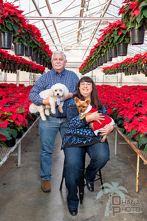 CDHS Santa Paws 2021-431