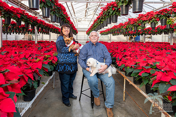 CDHS Santa Paws 2021-434