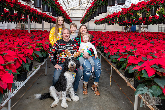 CDHS Santa Paws 2021-453