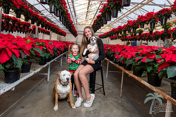 CDHS Santa Paws 2021-533