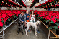 CDHS Santa Paws 2021-541