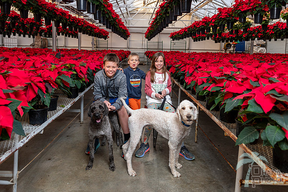 CDHS Santa Paws 2021-541