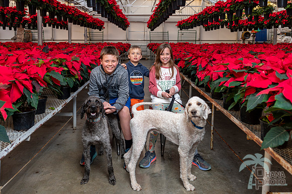CDHS Santa Paws 2021-543