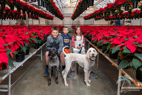 CDHS Santa Paws 2021-545