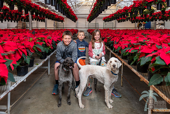 CDHS Santa Paws 2021-544