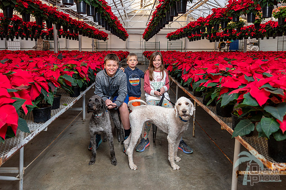 CDHS Santa Paws 2021-542