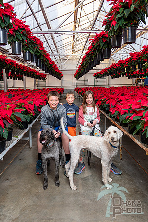 CDHS Santa Paws 2021-546