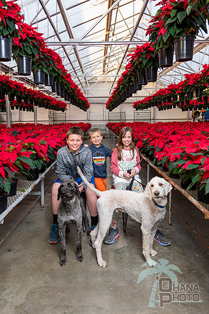 CDHS Santa Paws 2021-547